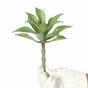 Die künstliche Pflanze Agáve 16 cm