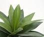 Agave Kunstpflanze 25 cm