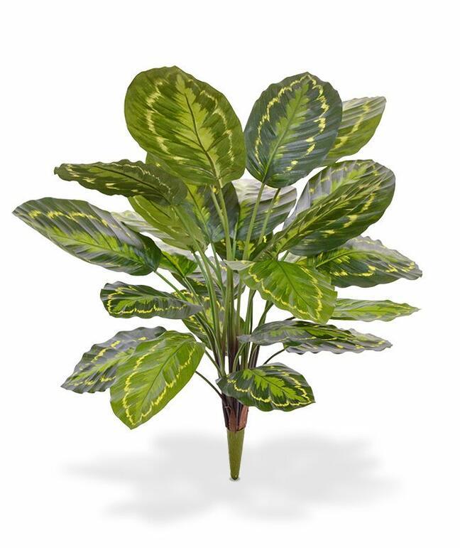 Kalatea Kunstpflanze 65 cm
