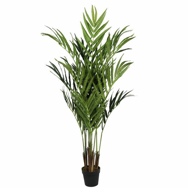 Die künstliche Palme Kentia 180 cm