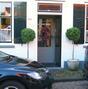 Kunstbaum Buxus rund 110 cm