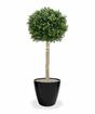 Kunstbaum Buxus rund 110 cm
