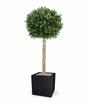 Kunstbaum Buxus rund 110 cm