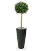 Kunstbaum Buxus rund 110 cm