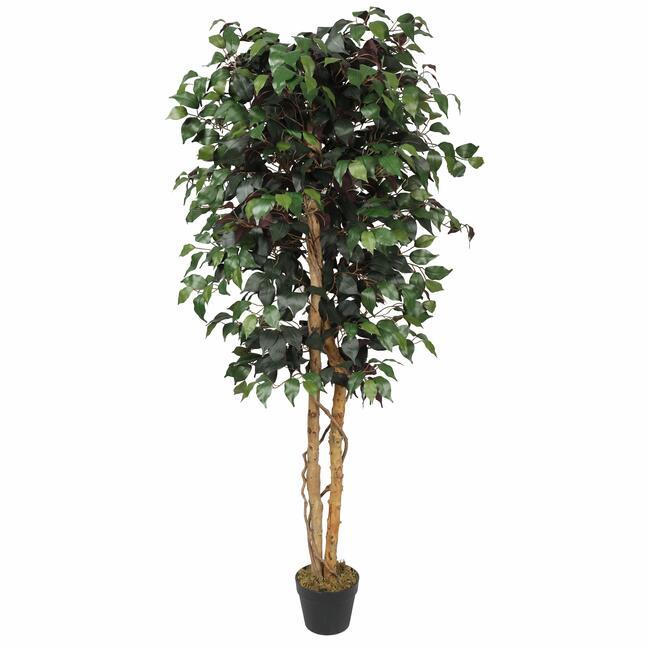 Kunstbaum Ficus Benjamin bordeaux 170 cm