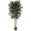 Kunstbaum Ficus Benjamin bordeaux 170 cm