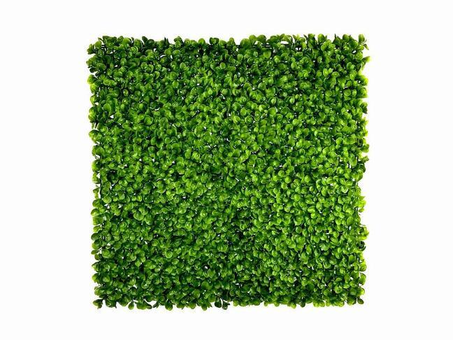 Künstliche Blattplatte Peperomia - 50x50 cm