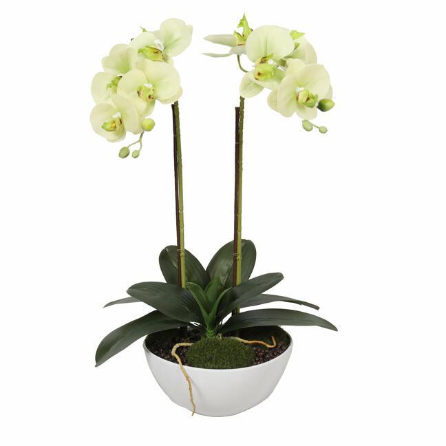 Künstliche Butterorchidee 50 cm