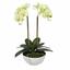 Künstliche Butterorchidee 50 cm