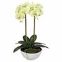 Künstliche Butterorchidee 50 cm