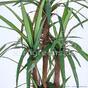 Künstliche Dracena-Pflanze gefüttert mit 140 cm