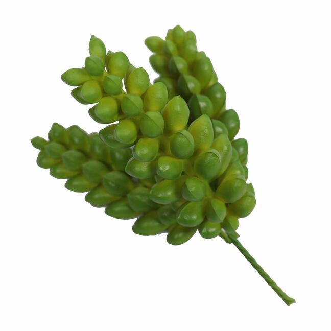 Die künstliche Pflanze Lotus Sedum Burrito 12 cm