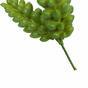 Die künstliche Pflanze Lotus Sedum Burrito 12 cm