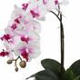 Künstliche Orchidee 43 cm