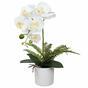 Künstliche Orchidee weiß mit Farn 37 cm
