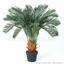 Künstliche Palme Cycas 90 cm