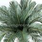 Künstliche Palme Cycas 90 cm