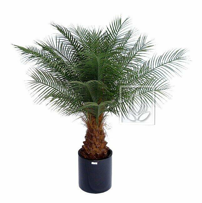 Künstliche Palme Datum 170 cm