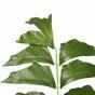 Künstliche Palme Fischschwanz 165 cm