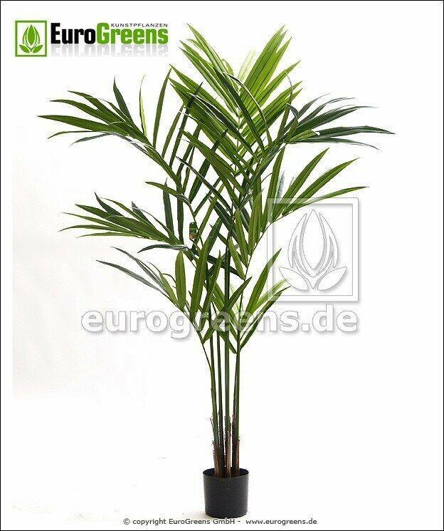 Künstliche Palme Kentia 170 cm