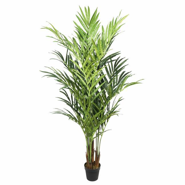 Künstliche Palme Kentia 210 cm