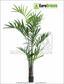 Künstliche Palme Kentia 240 cm