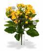Künstliche Pflanze Kalanchoa orange 30 cm