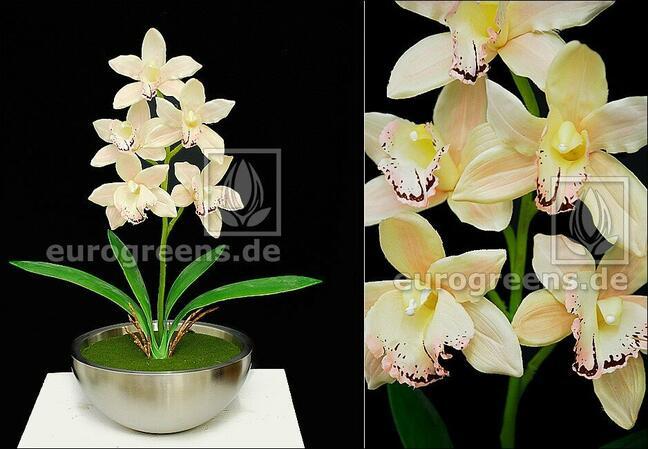 Künstliche Pflanze Orchidea Cymbidium Creme 50 cm