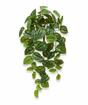 Künstliche Ranke Potosovec 60 cm