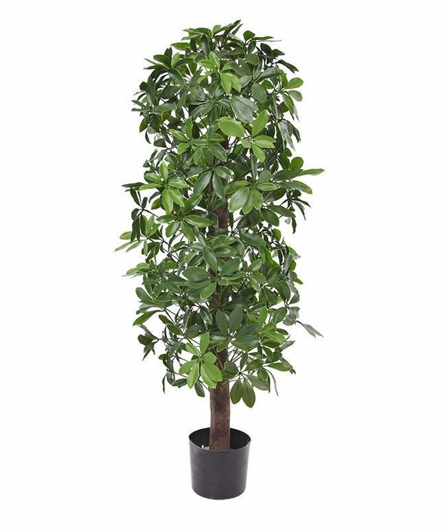 Künstliche Shefler-Pflanze 120 cm
