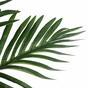 Die künstliche tropische Palme 76 cm