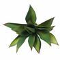 Die künstliche Pflanze Agave 26 cm