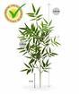 Künstlicher Ast Bambus 65 cm