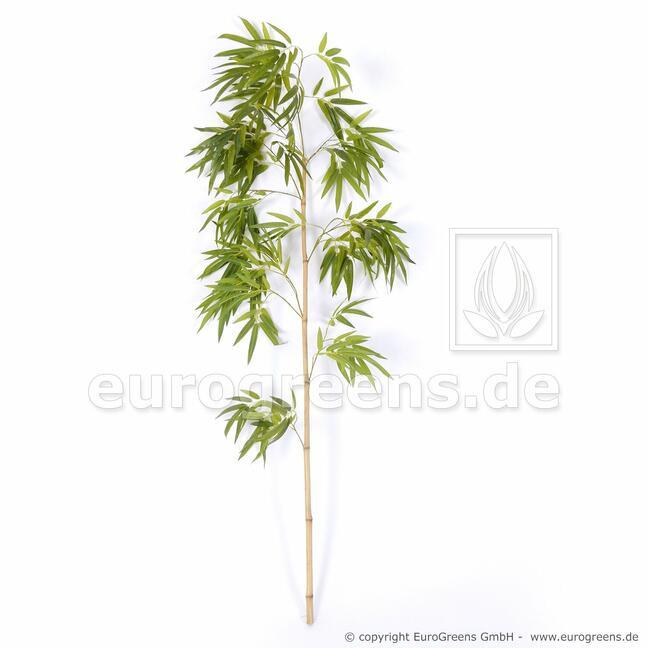 Künstlicher Ast Chinesischer Bambus 150 cm
