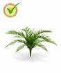 Künstlicher Farn Alsofila 60 cm