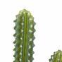 Künstlicher Kaktus 69 cm