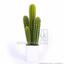Künstlicher Kaktus San Pedro 55 cm