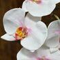 Künstlicher Orchideenzweig rosa-weiß 55 cm