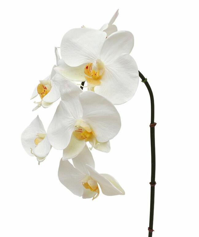 Künstlicher Orchideenzweig weiß 55 cm