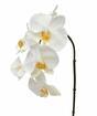 Künstlicher Orchideenzweig weiß 55 cm