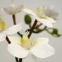 Künstlicher Orchideenzweig weiß 60 cm