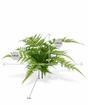 Künstlicher Pflanzenflügel 30 cm