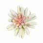 Künstlicher Sukkulente Lotus Echeveria weiß 10,5 cm