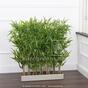 Künstlicher Zaun Bambus 120 cm
