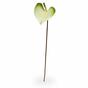Künstlicher Zweig Anthurie grün-weiß 50 cm