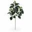 Künstlicher Zweig Base grün 55 cm