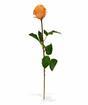Künstlicher Zweig Rose orange 52 cm