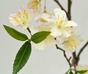 Künstlicher Zweig Sahnekirsche 120 cm