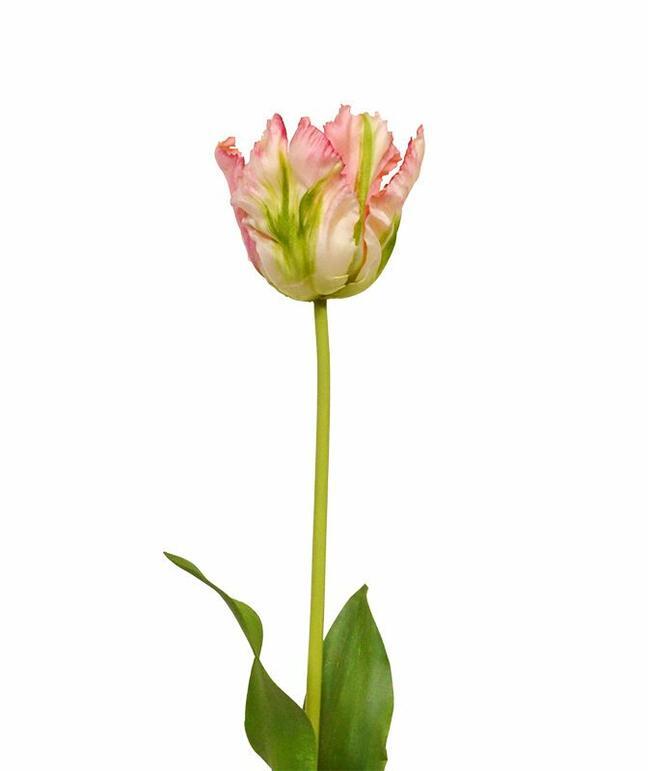 Künstlicher Zweig Tulpe grün-rosa 70 cm