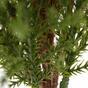 Künstlicher Zypressenbaum 56 cm